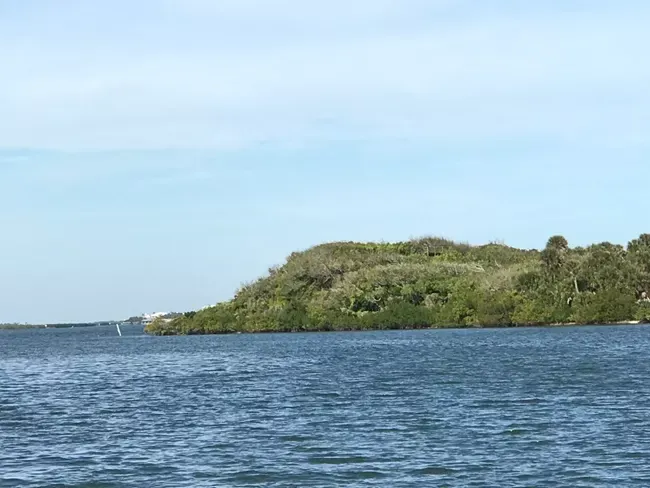 A large body of water with trees on top.